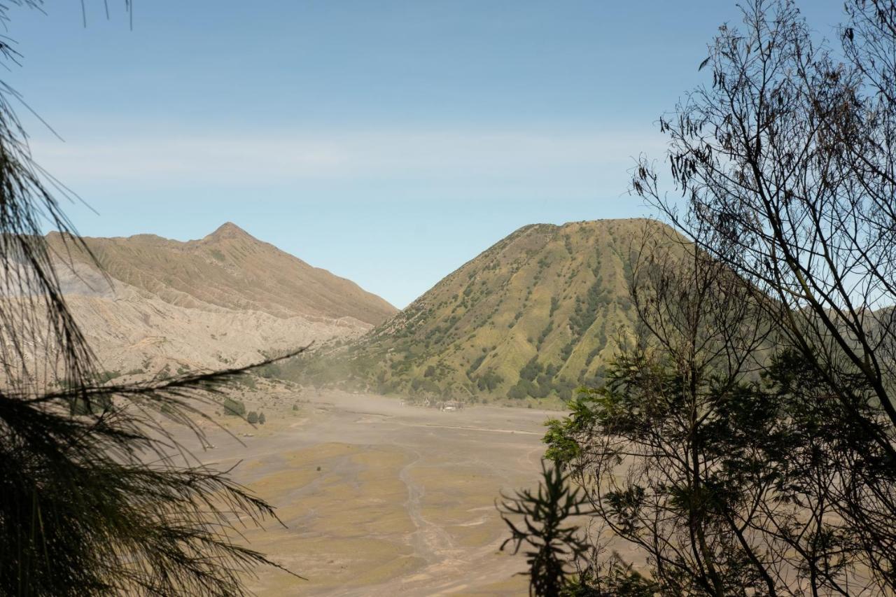 Mentigen Homestay Ngadisari Exteriér fotografie