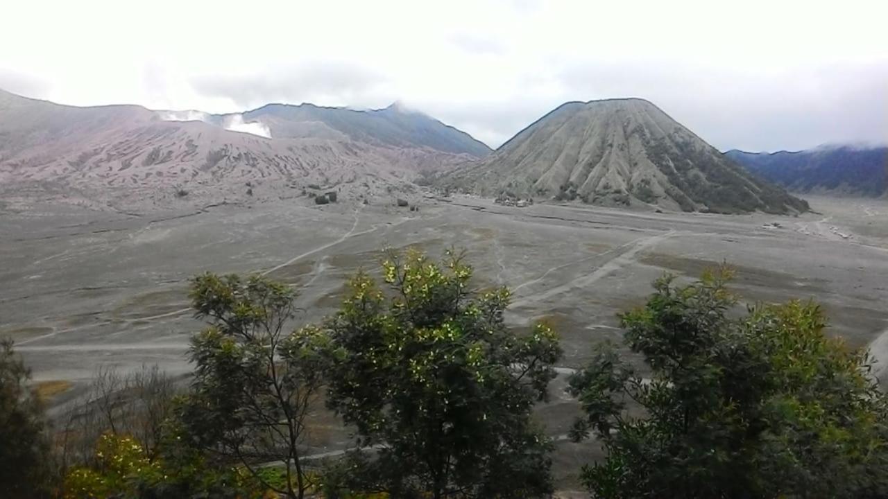 Mentigen Homestay Ngadisari Exteriér fotografie