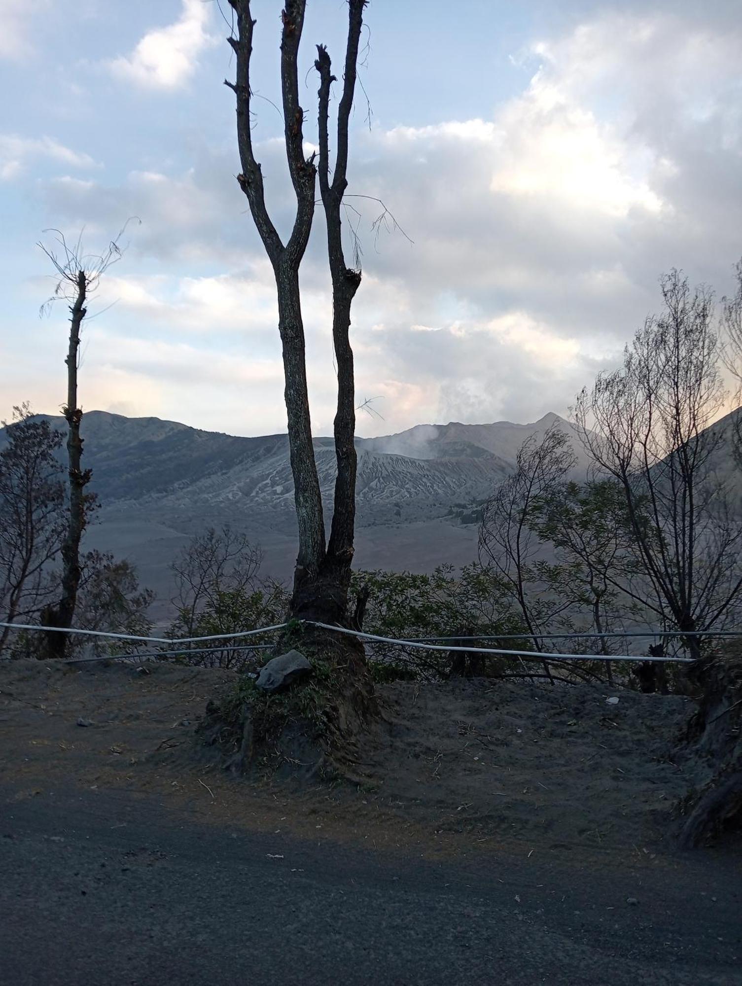 Mentigen Homestay Ngadisari Exteriér fotografie
